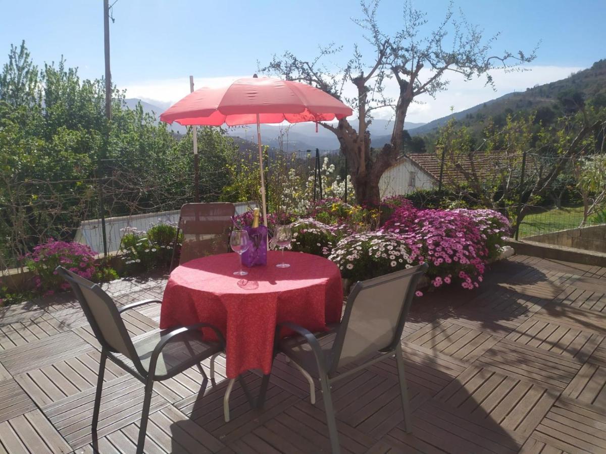 Studio Le Romantique A 20 Kms De Nice Bendéjun Kültér fotó