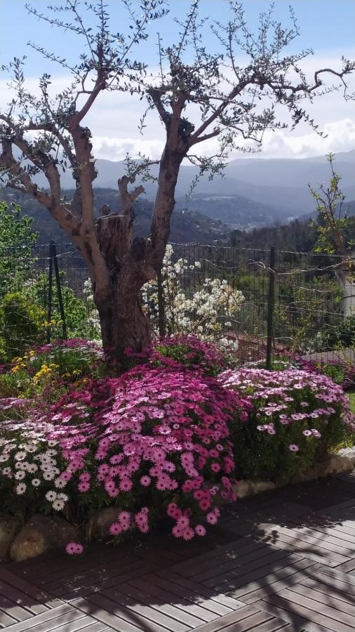 Studio Le Romantique A 20 Kms De Nice Bendéjun Kültér fotó